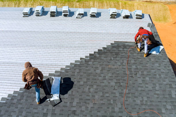 Best Roof Coating and Sealing  in Ellijay, GA